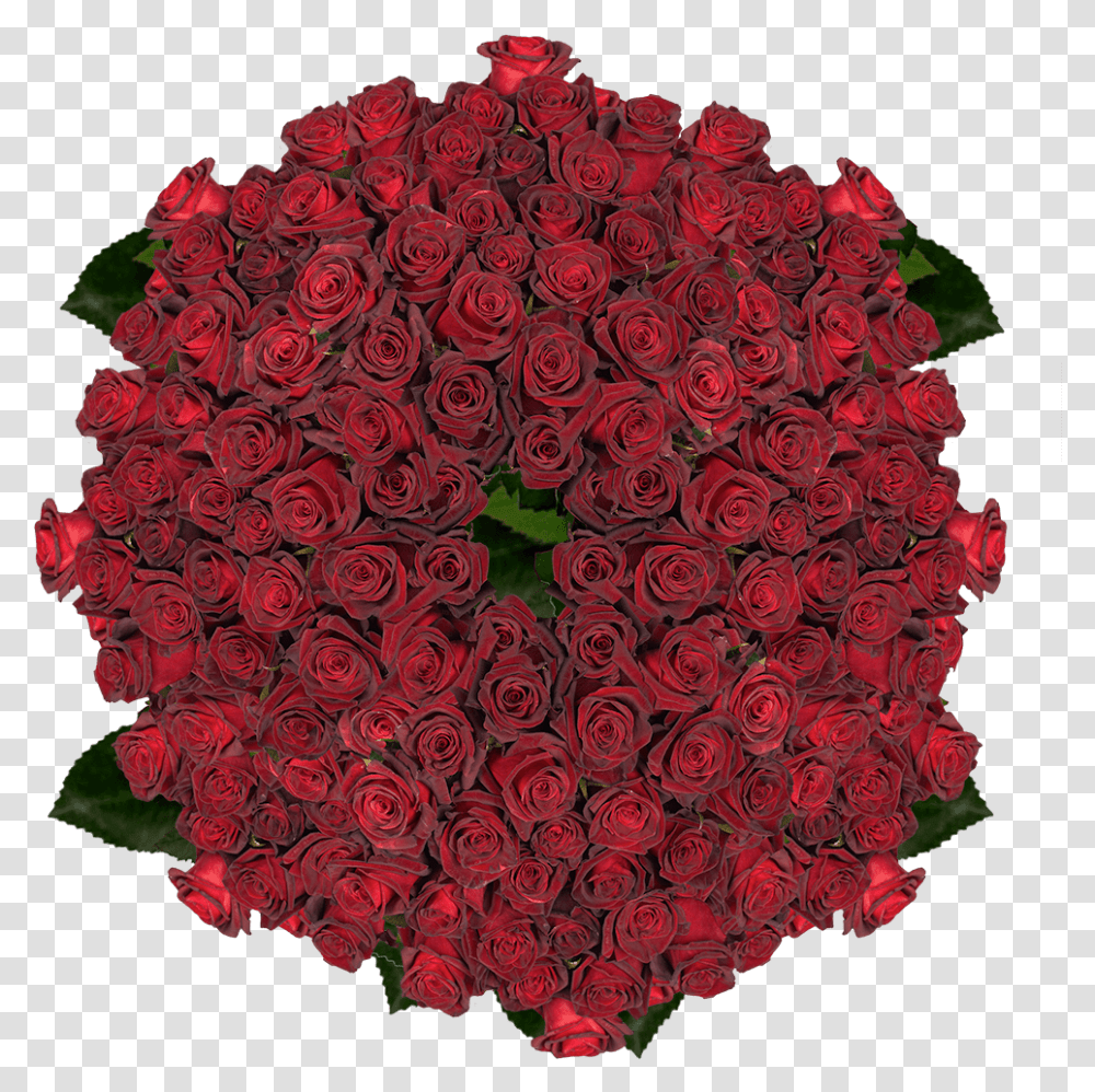 Buy Black Roses Lovely, Floral Design, Pattern, Graphics, Art Transparent Png