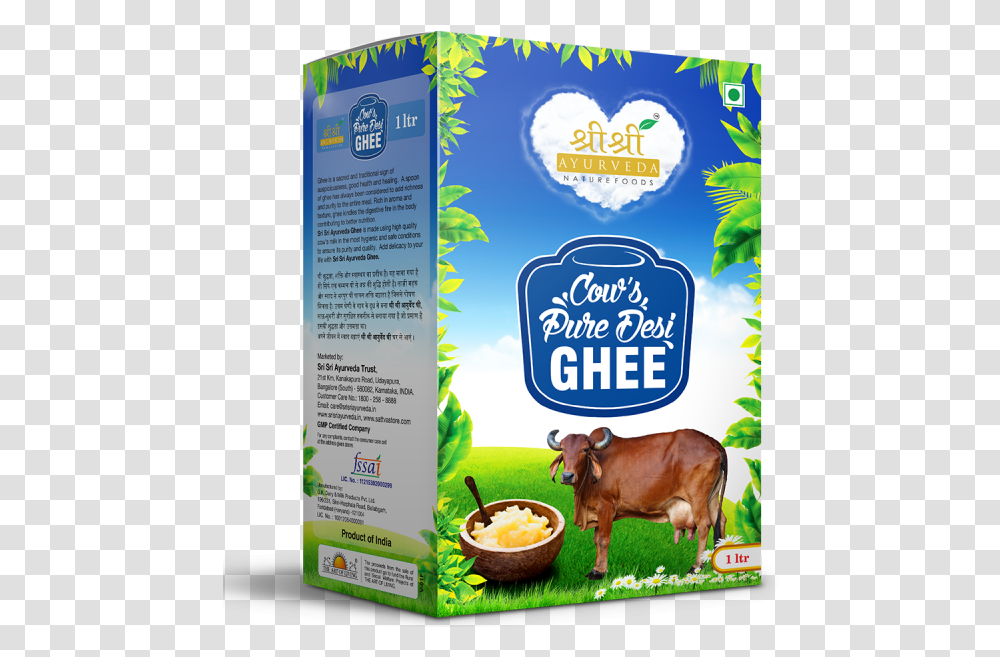 Buy Cows Pure Desi Ghee 1 Kg In Uk Amp Usa Sri Sri Cow Ghee, Cattle, Mammal, Animal, Poster Transparent Png