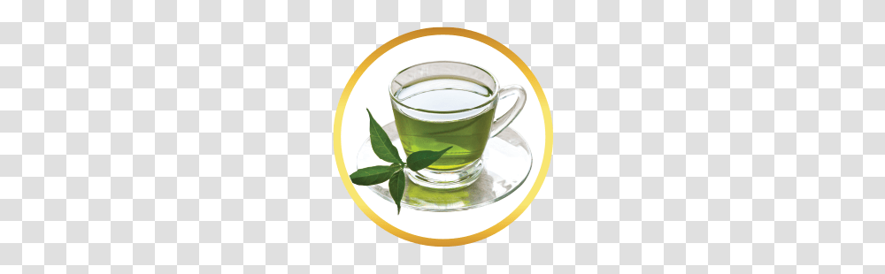 Buy Green Tea Bags, Vase, Jar, Pottery, Plant Transparent Png