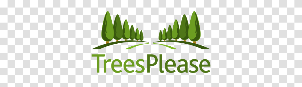 Buy Retail Plants Online Trees For Sale, Green, Leaf, Fern Transparent Png
