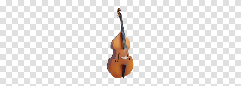 Buy String Instruments Online Or In Store Simply For Strings, Cello, Musical Instrument, Violin, Leisure Activities Transparent Png