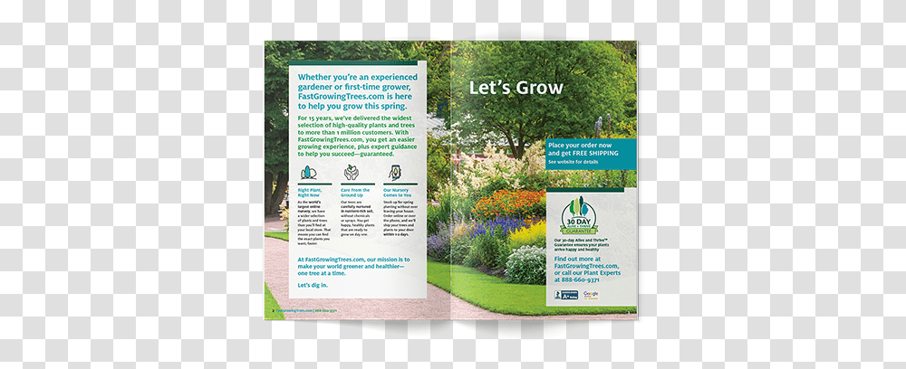 Buy Trees Online Fastgrowingtreescom Grassland, Poster, Advertisement, Flyer, Paper Transparent Png