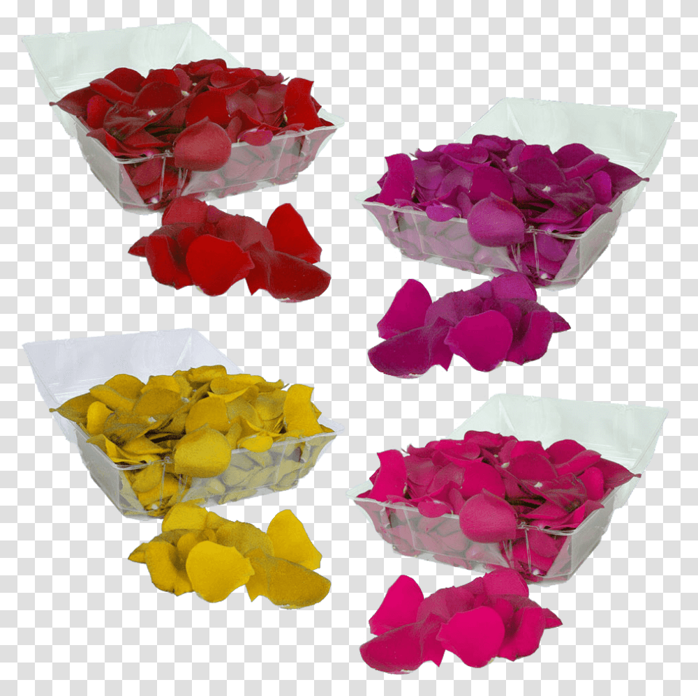 Buy Your Choice Of Rose Petals Lovely, Flower, Plant, Blossom, Geranium Transparent Png