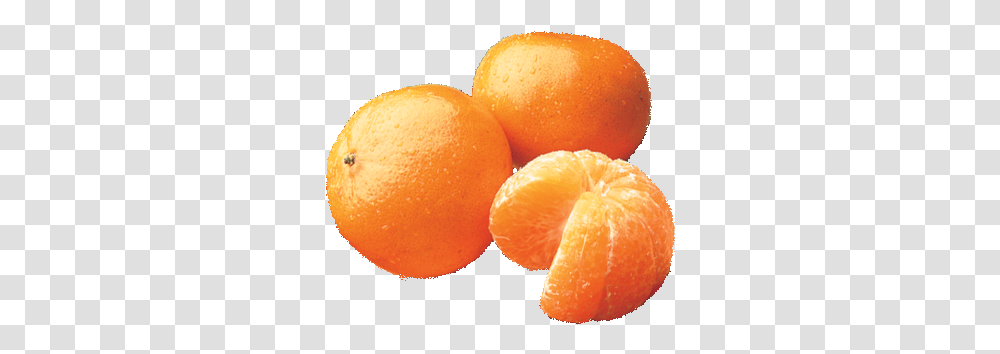 Buyers Guide To Temple Oranges Plaza Grande, Plant, Citrus Fruit, Food, Grapefruit Transparent Png