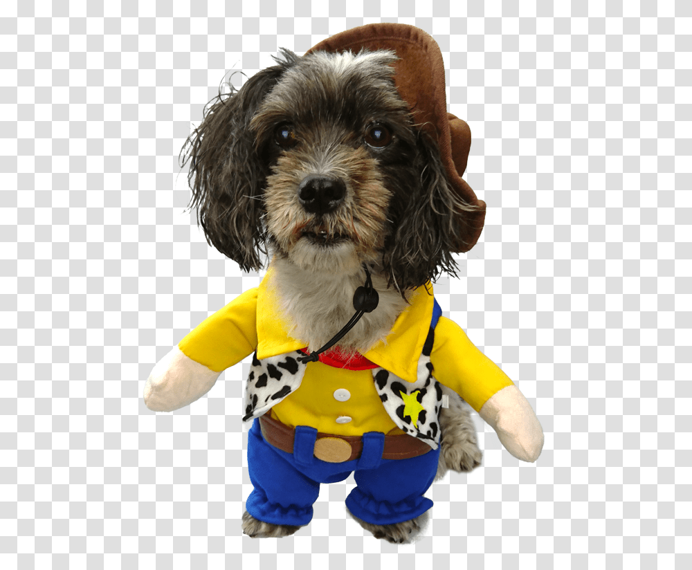 Buzz And Woody Woody Costume For Dog, Puppy, Pet, Canine, Animal Transparent Png