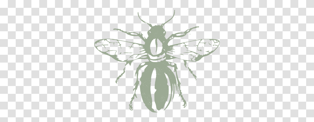 Buzz Beeblock1 House Fly, Stencil, Silhouette, Animal, Invertebrate Transparent Png
