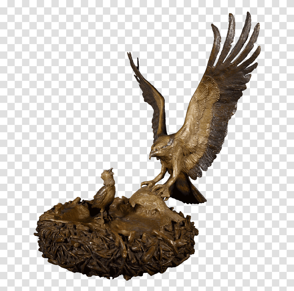 Buzzard Download Golden Eagle, Bird, Animal, Hawk Transparent Png