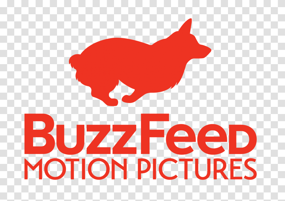 Buzzfeed Founder Publishers Shouldnt Care Where People Watch, Logo, Trademark, First Aid Transparent Png