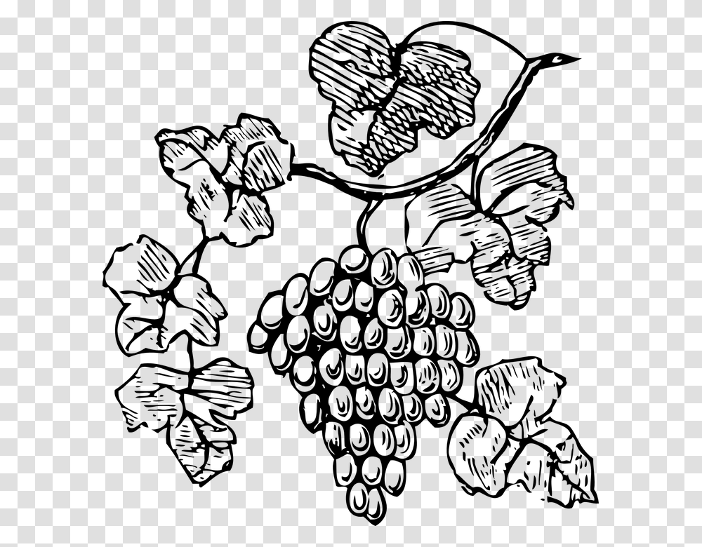 Bw Grapes Grape Vine Clipart Black And White, Gray, World Of Warcraft Transparent Png