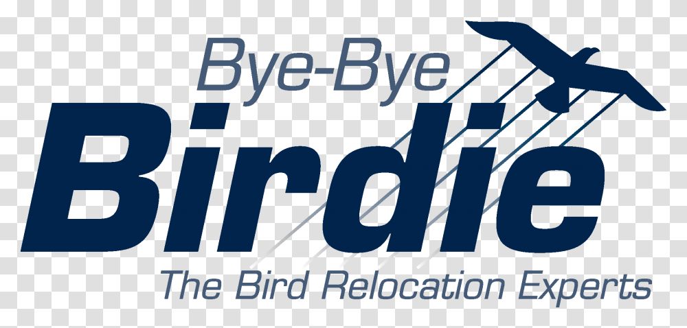 Bye Bye Birdie New Generation, Word, Number Transparent Png