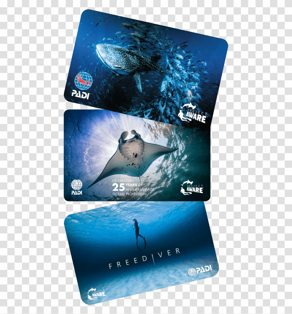C Card Options Padi Project Aware Card 2019, Manta Ray, Sea Life, Fish, Animal Transparent Png