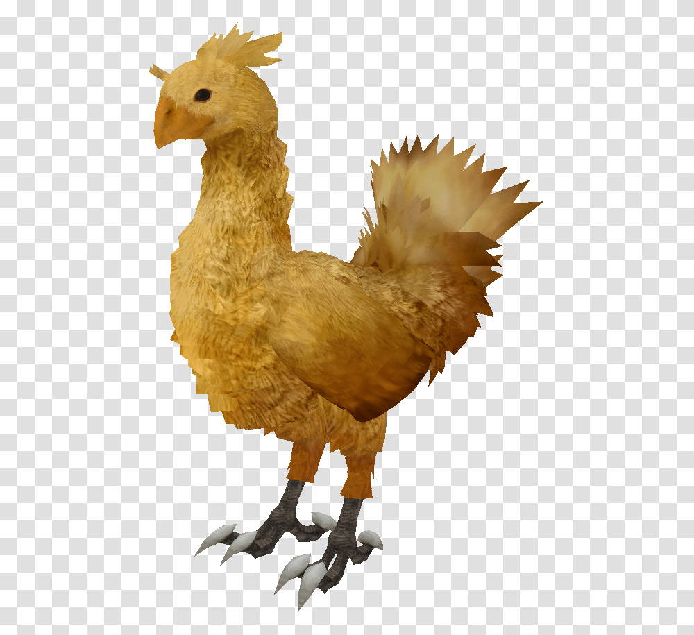C Chocobo Ffxiii Render Final Fantasy Chocobo Render, Bird, Animal, Poultry, Fowl Transparent Png