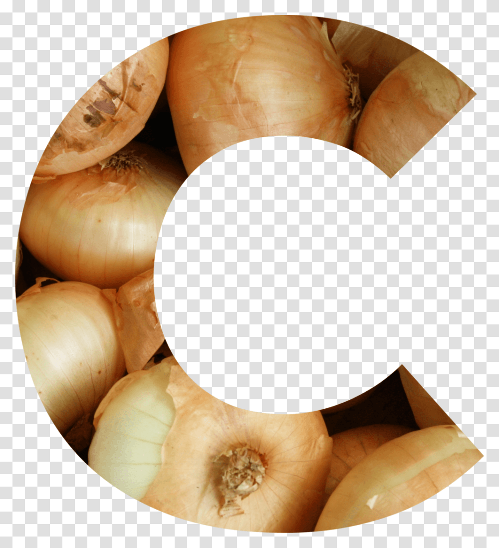 C Yellow Onion, Plant, Vegetable, Food, Shallot Transparent Png