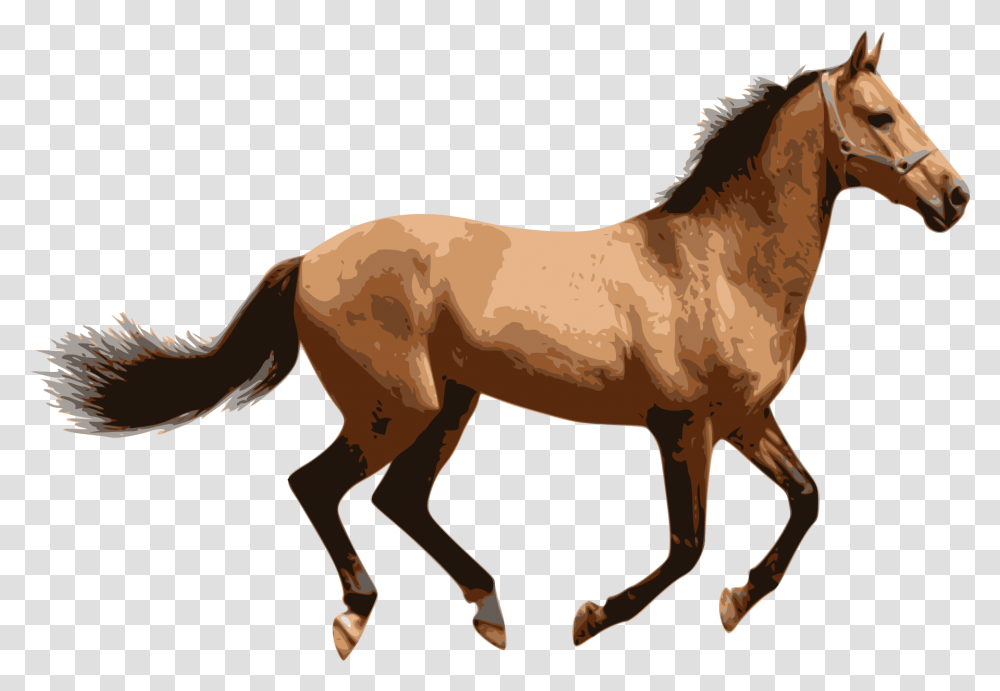 Caballo 5 Image Horse, Mammal, Animal, Colt Horse, Foal Transparent Png