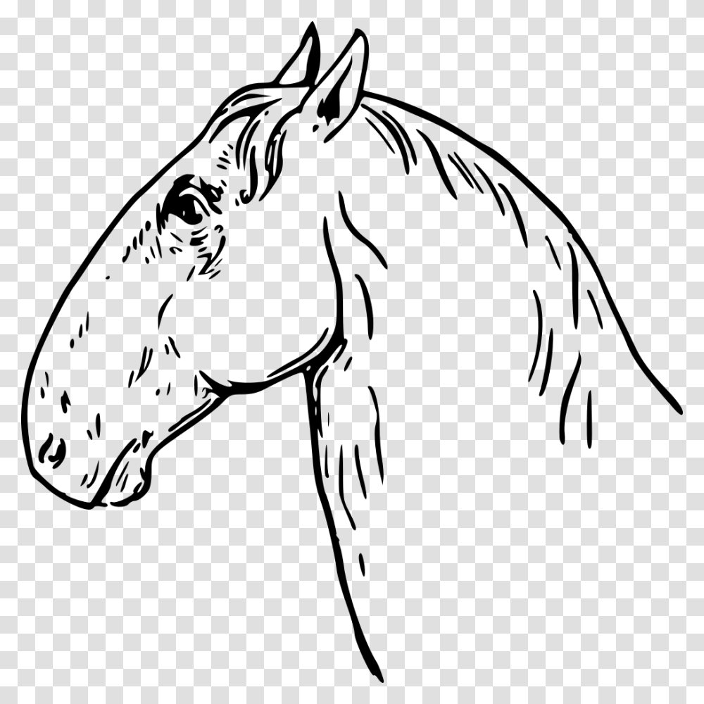 Caballo Cabeza De Carnero, Gray, World Of Warcraft Transparent Png