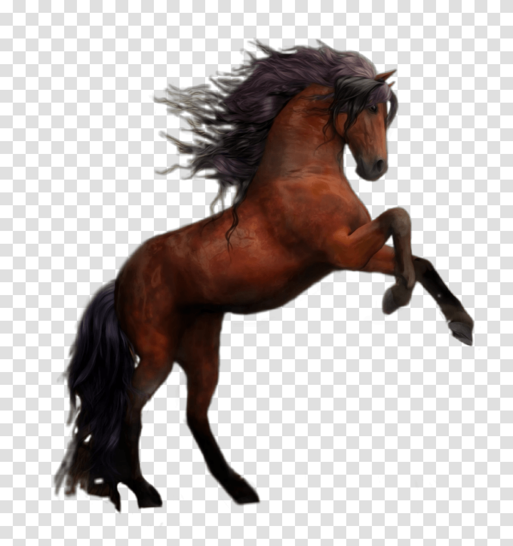 Caballo Marron Two Horses, Mammal, Animal, Stallion, Colt Horse Transparent Png