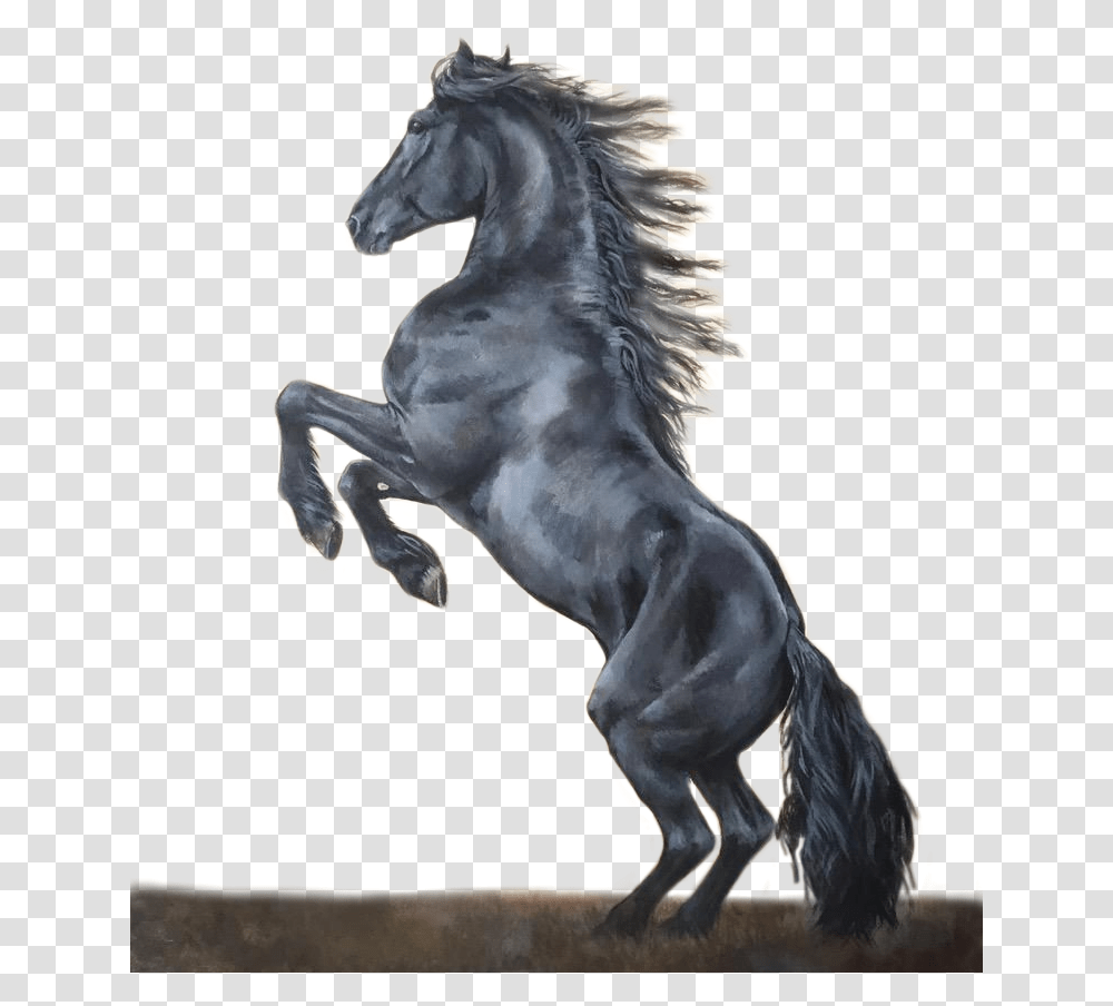 Caballo Negro Stallion, Horse, Mammal, Animal, Colt Horse Transparent Png