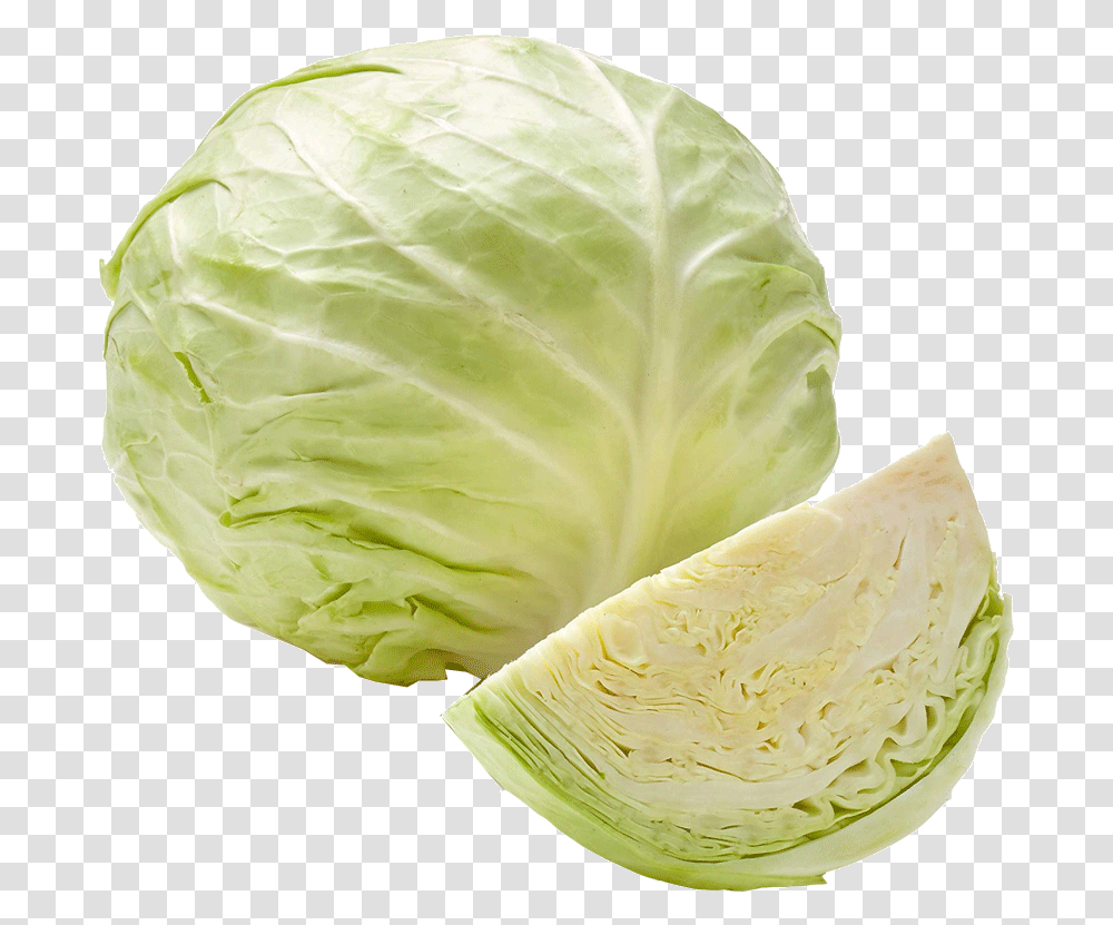 Cabbage 1 Kg Green Cabbage Band Gobi, Plant, Vegetable, Food, Head Cabbage Transparent Png