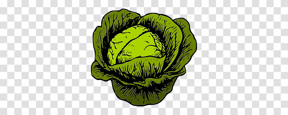 Cabbage Food, Plant, Vegetable, Head Cabbage Transparent Png