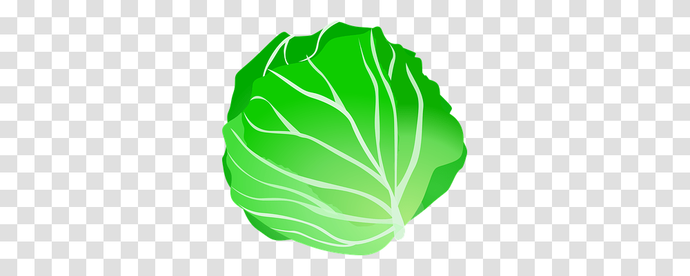 Cabbage Food, Plant, Vegetable, Head Cabbage Transparent Png