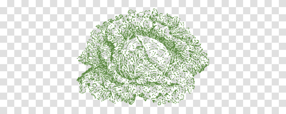 Cabbage Food, Plant, Pattern, Green Transparent Png