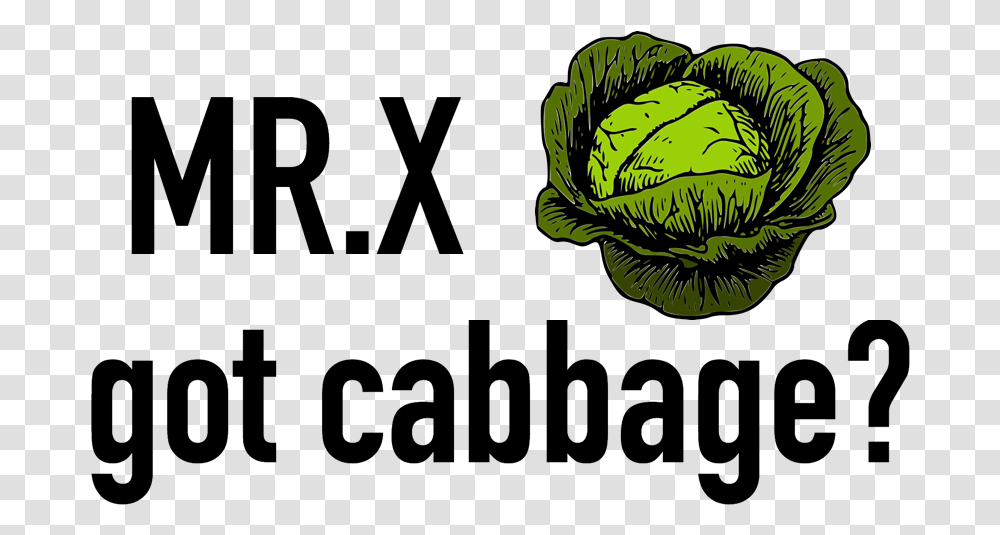 Cabbage Avina Produce Broccoli, Plant, Head Cabbage, Vegetable, Food Transparent Png