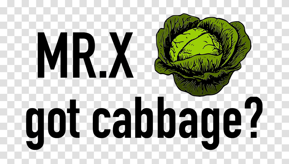 Cabbage Avina Produce, Plant, Head Cabbage, Vegetable, Food Transparent Png
