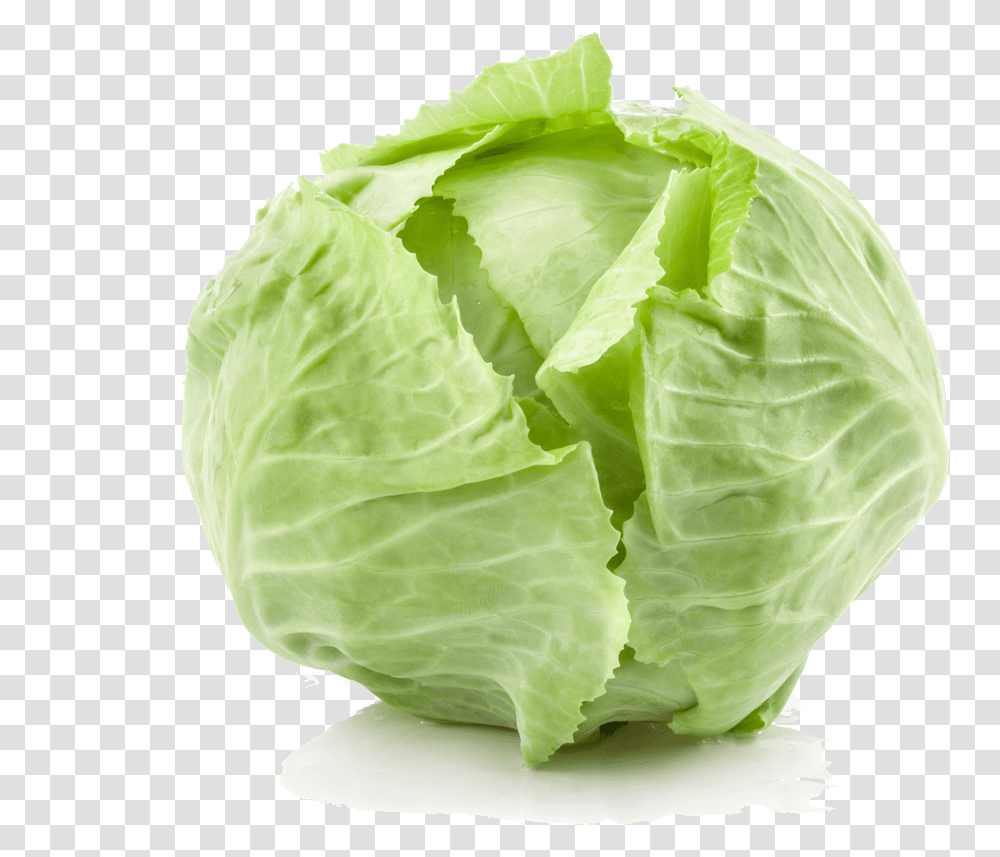 Cabbage Background Image Cabbage, Plant, Vegetable, Food, Head Cabbage Transparent Png