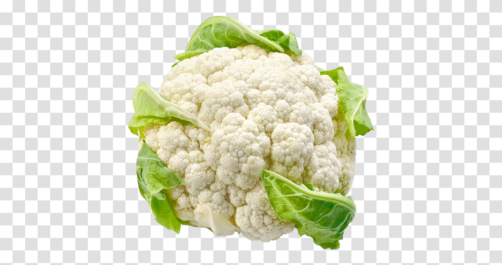 Cabbage Be Fresh Produce Cauliflower, Vegetable, Plant, Food Transparent Png