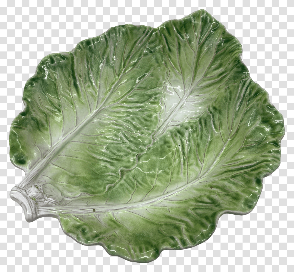 Cabbage Bowl Italy Collard Greens Transparent Png
