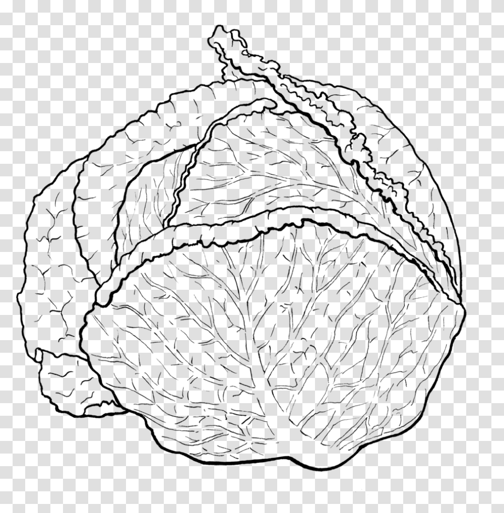 Cabbage Cabbage Black And White, Sphere, Plant, Produce, Food Transparent Png