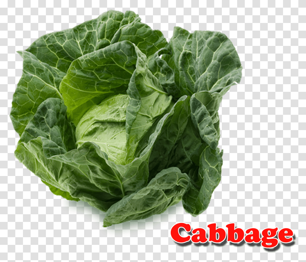 Cabbage Cabbage Vegetable Image With Name, Plant, Food, Head Cabbage, Produce Transparent Png