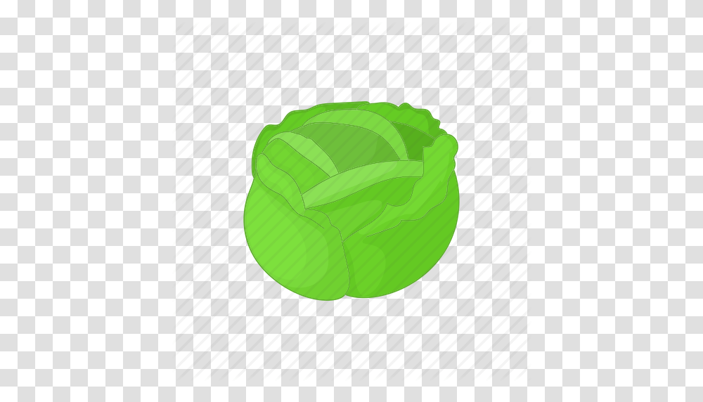 Cabbage Cartoon Food Fresh Healthy Organic Vegetable Icon, Plant, Head Cabbage, Produce, Tennis Ball Transparent Png
