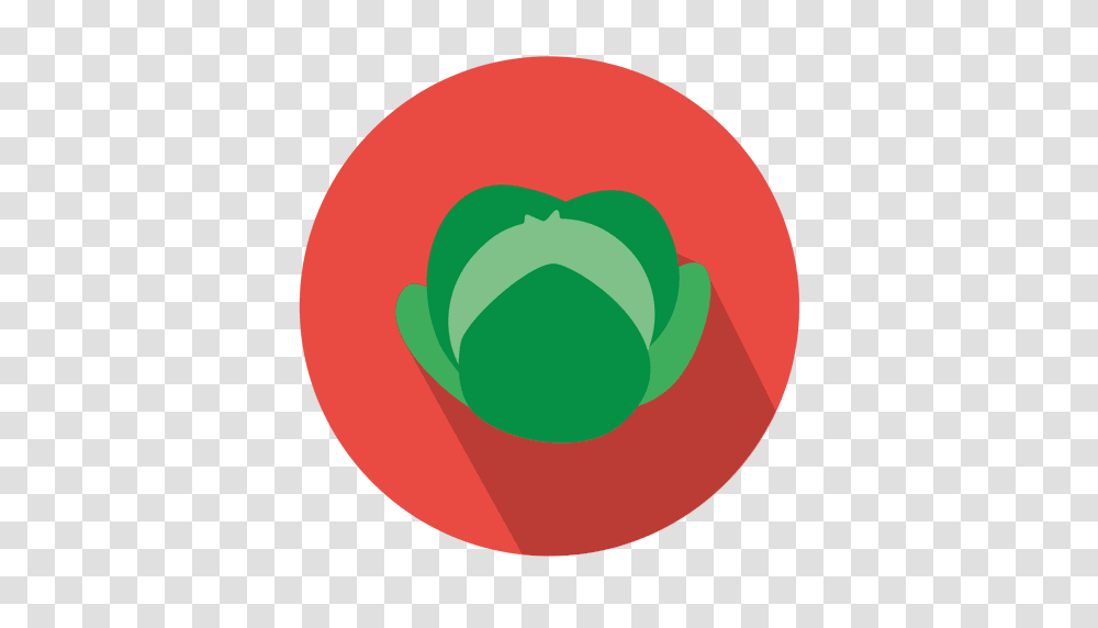Cabbage Circle Icon, Plant, Sphere Transparent Png