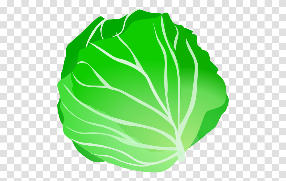 Cabbage Clipart Clip Art Images, Plant, Vegetable, Food, Head Cabbage Transparent Png
