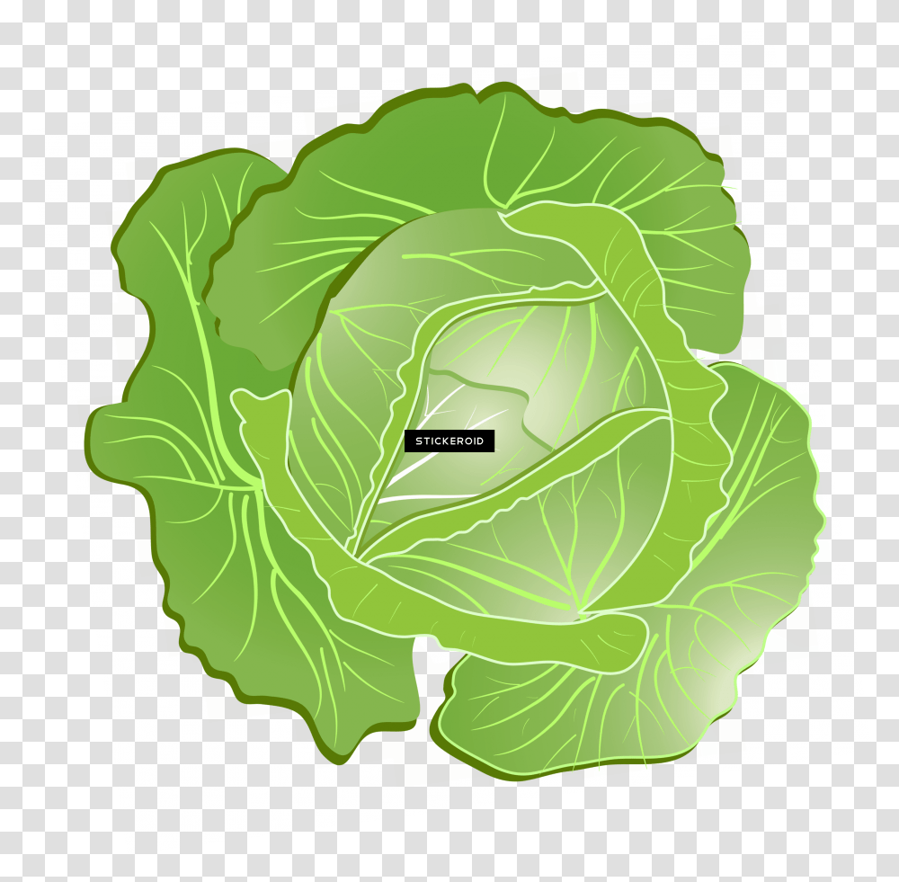 Cabbage Clipart Download Collard Greens Collard Greens, Plant, Vegetable, Food, Head Cabbage Transparent Png
