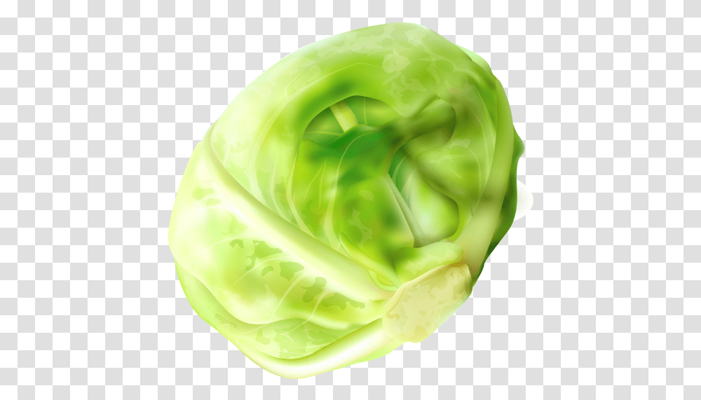 Cabbage Clipart Image Free Download Searchpng Brussel Sprout, Plant, Vegetable, Food, Rose Transparent Png