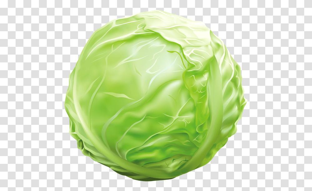 Cabbage Clipart Image Graphics Images Cabbage Clipart, Plant, Head Cabbage, Produce, Vegetable Transparent Png