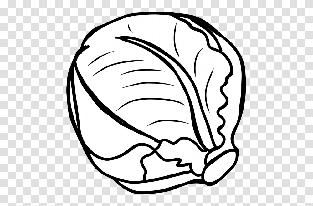 Cabbage Clipart Nice Clip Art, Plant, Vegetable, Food Transparent Png