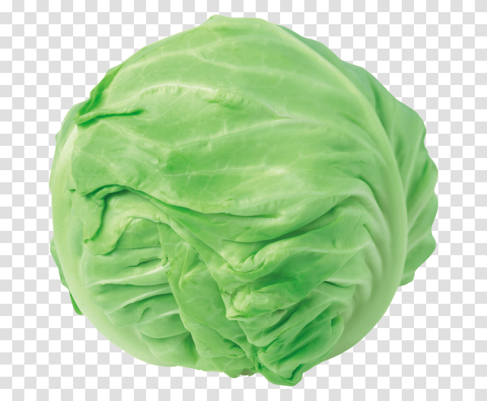 Cabbage Clipart, Plant, Vegetable, Food, Head Cabbage Transparent Png