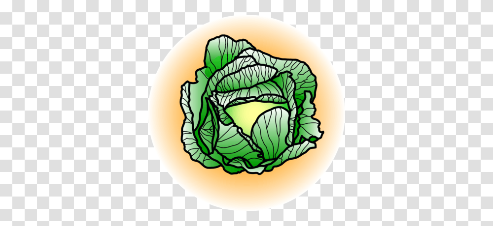 Cabbage Cliparts, Plant, Food, Vegetable, Lamp Transparent Png