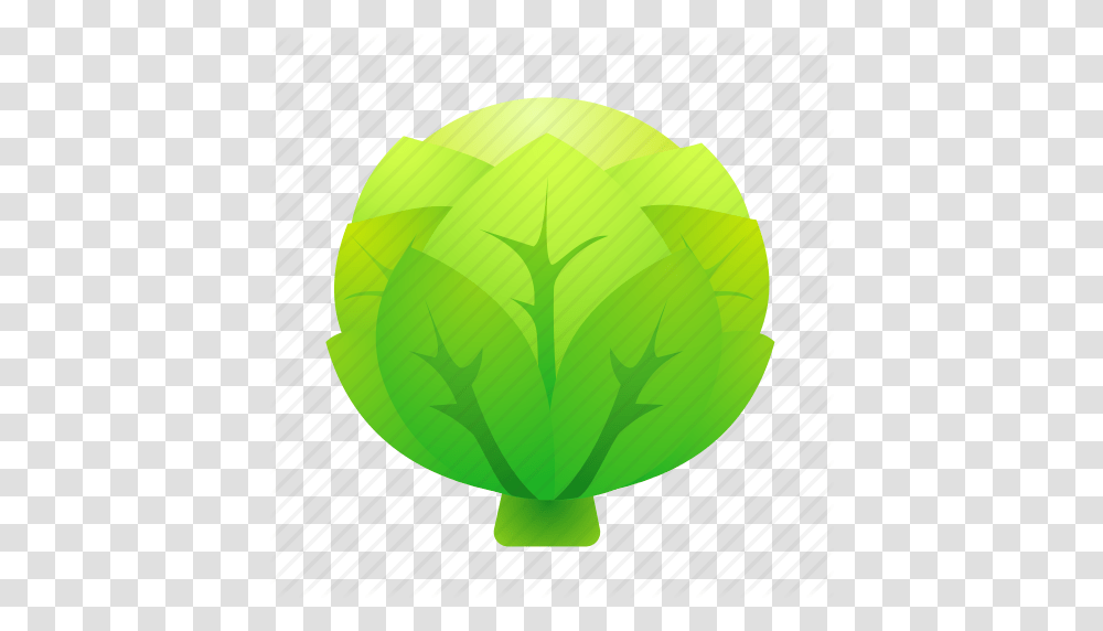 Cabbage Food Green Health Organic Icon, Plant, Tennis Ball, Vegetable, Produce Transparent Png