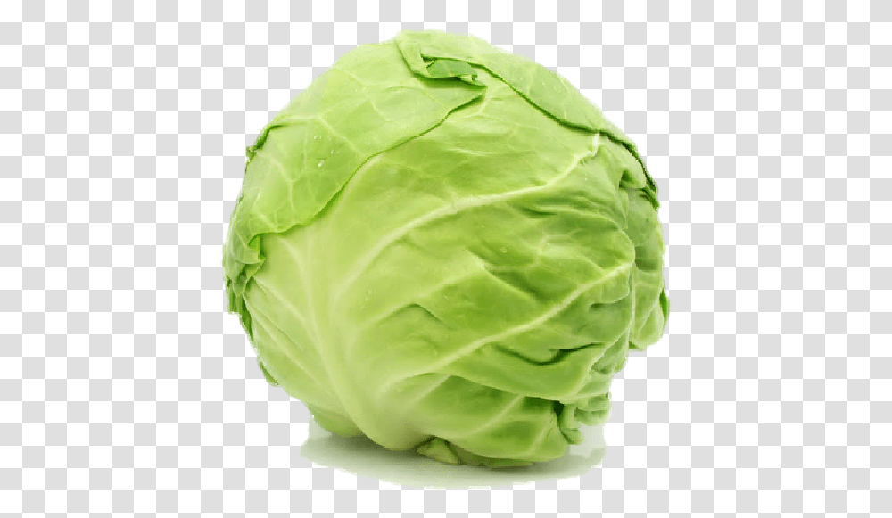 Cabbage Free Cabbage, Plant, Vegetable, Food, Head Cabbage Transparent Png