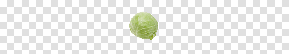 Cabbage Free Image Download, Plant, Vegetable, Food, Head Cabbage Transparent Png
