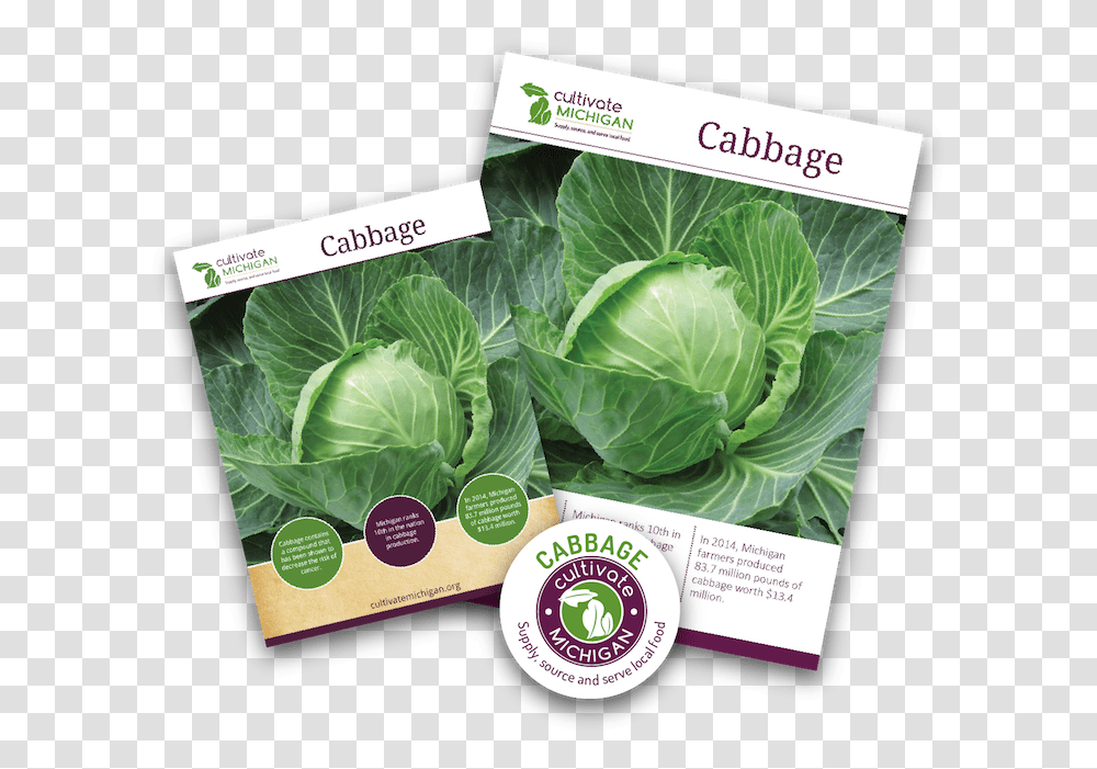 Cabbage Gingered Cabbage Slaw Collard Greens, Plant, Vegetable, Food, Flyer Transparent Png