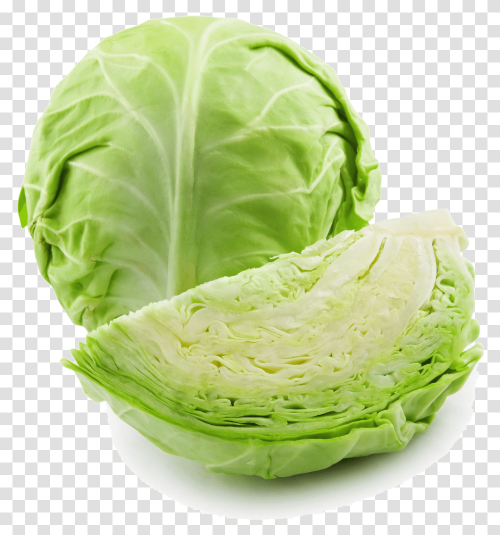 Cabbage High Quality Image Cabbage, Plant, Vegetable, Food, Head Cabbage Transparent Png