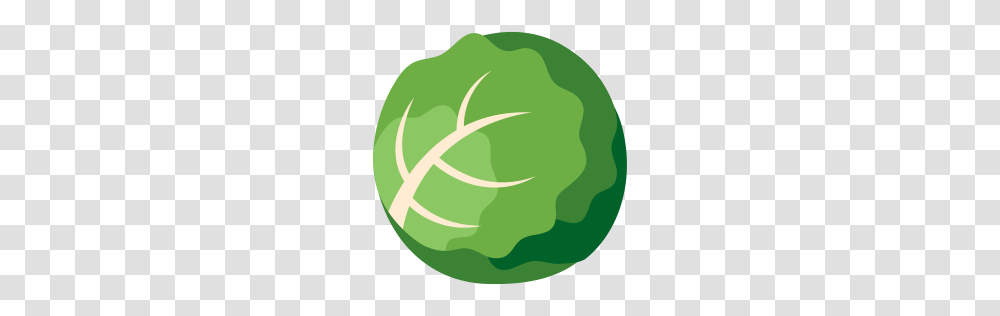 Cabbage Icon Myiconfinder, Painting, Ball, Green, Sport Transparent Png