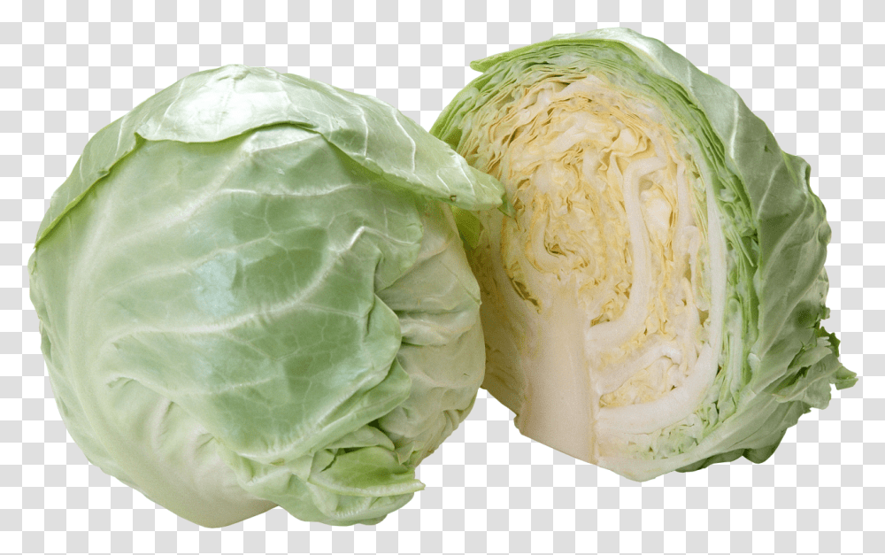 Cabbage Image Cabbage, Plant, Vegetable, Food, Head Cabbage Transparent Png