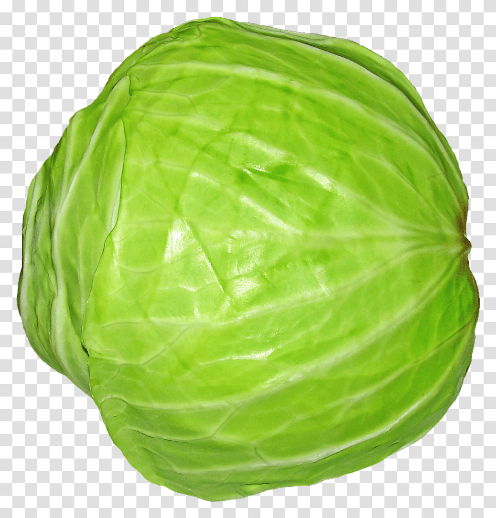 Cabbage Image For Free Download Cabbage, Plant, Vegetable, Food, Head Cabbage Transparent Png