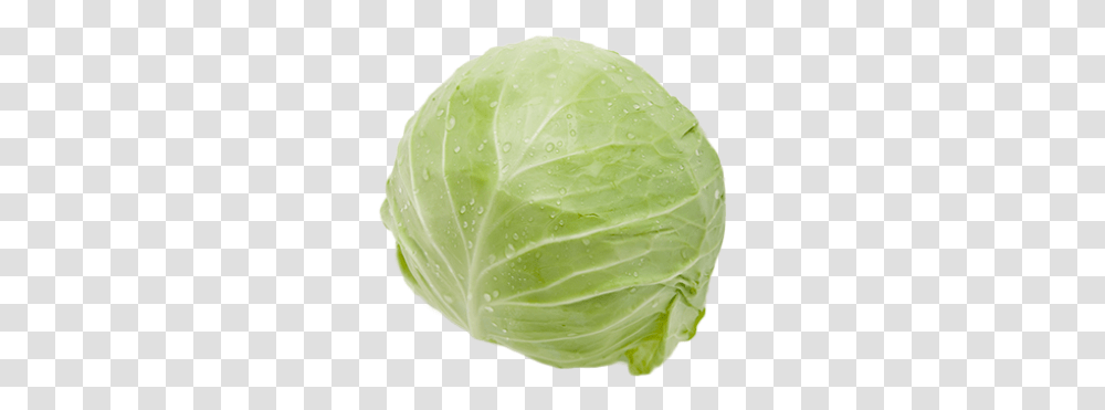 Cabbage Image Free Cabbage, Plant, Vegetable, Food, Head Cabbage Transparent Png